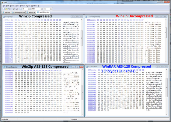 hack excel password zip